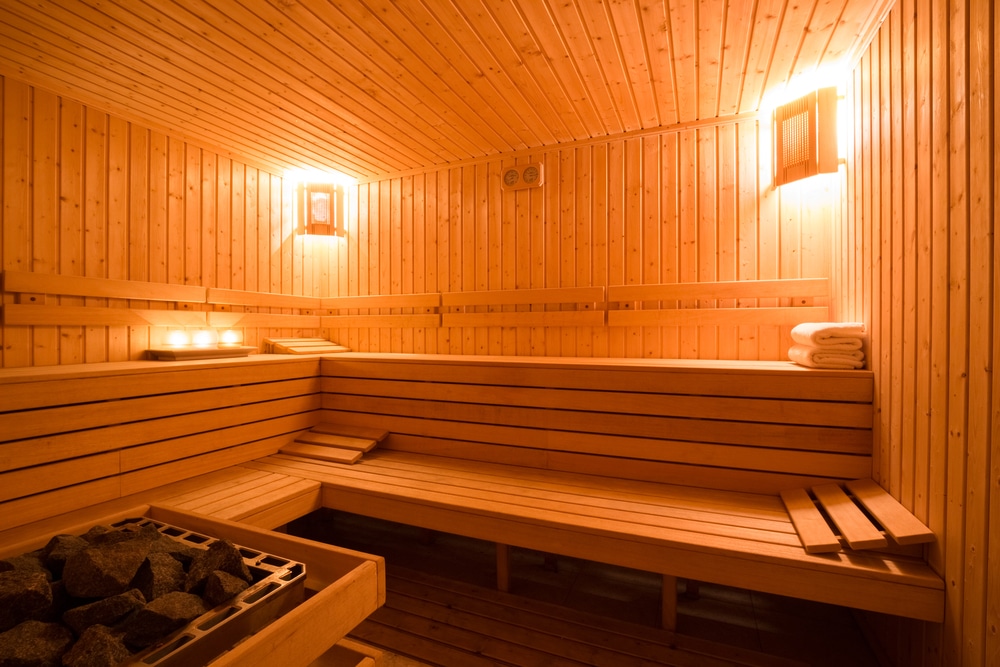 Portable Steam Sauna